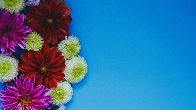 现等多维度 现等多维度