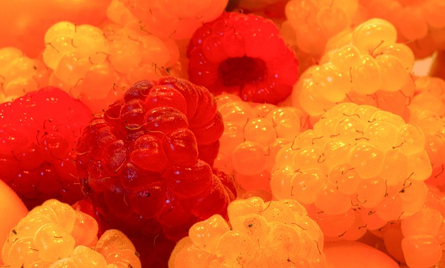 詹姆斯的成 詹姆斯的成