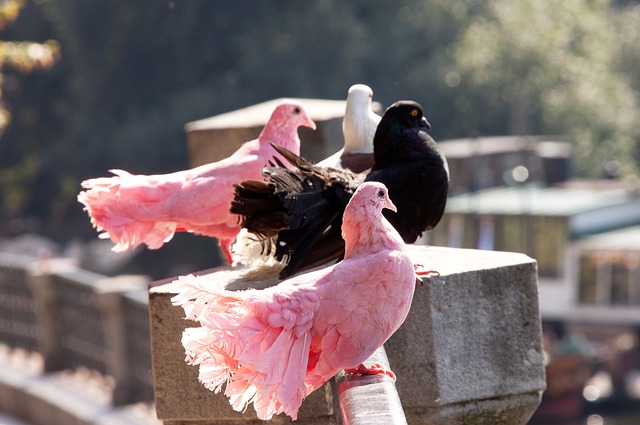 奧運男足:日本離世界頂尖的距離堪比銀河系.